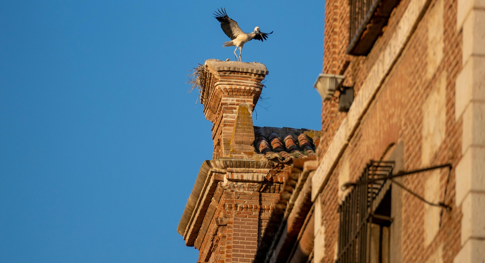 banner